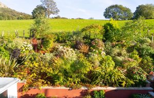 Photo 36- click for photo gallery